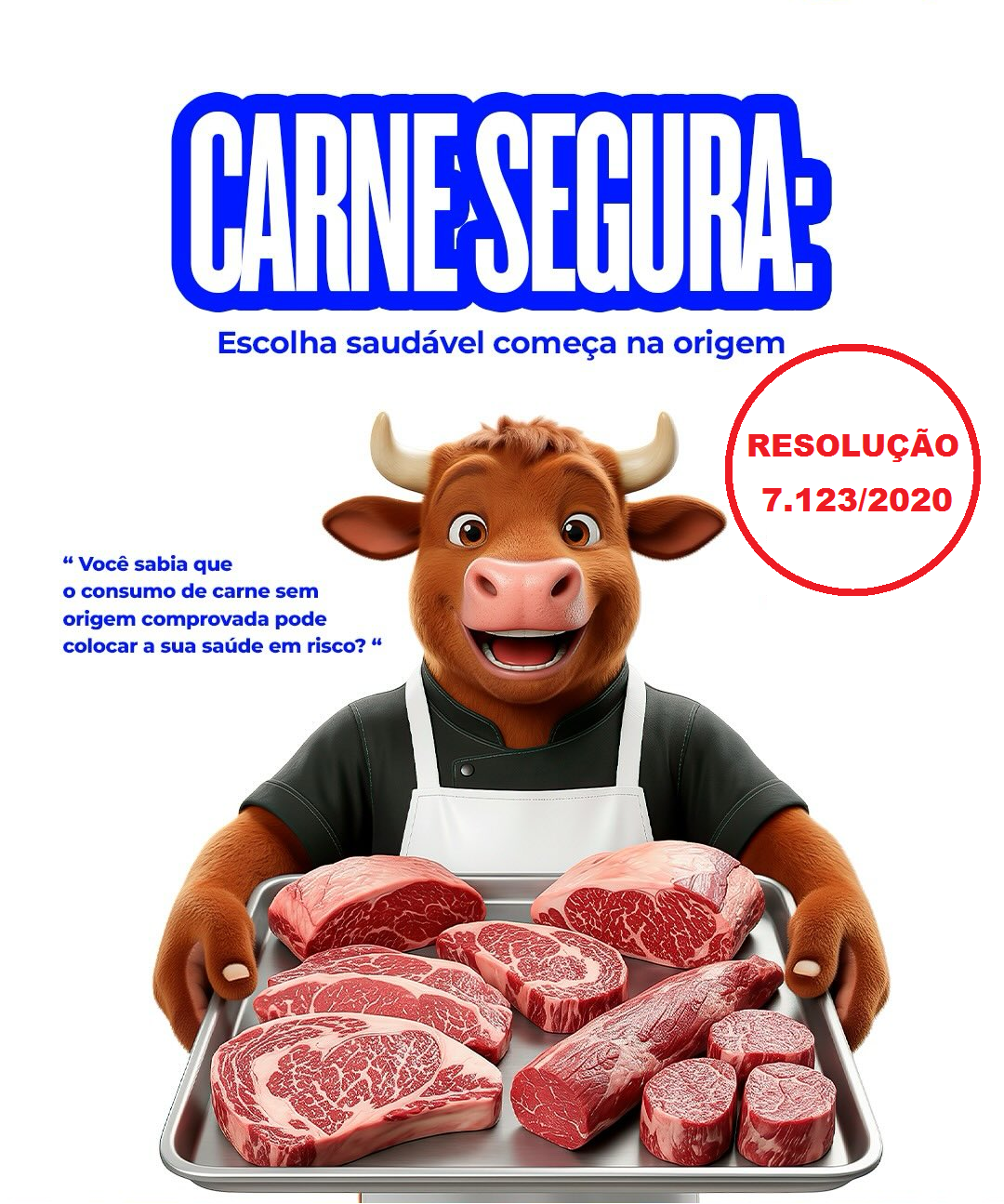 SECRETARIA DE AGRICULTURA PRESTA PALESTRA SOBRE A RESOLUÇÃO ESTADUAL 7.123/2020